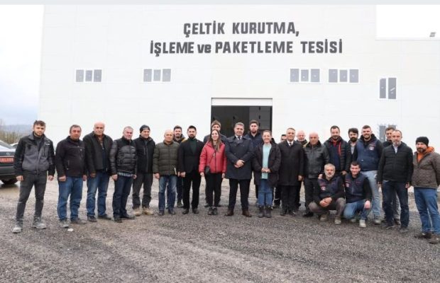 ÇELTİK İŞLEME VE PAKETLEME DENEMESİ YAPILDI